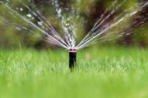 sistemi irrigazione giardini napoli